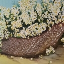 Margaretkowo Margaretkowo