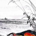 Pod miedzÄ… Pod miedzÄ…