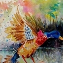 Zły kaczor Zły kaczor