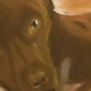 przyjaciel przyjaciel