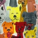 kolorowe pieski kolorowe pieski