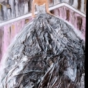 Dama w sukni Dama w sukni