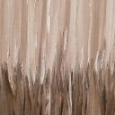 Perplexity Perplexity