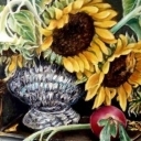 Słoneczniki wiecznie żywe Słoneczniki wiecznie żywe