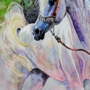 Bez tytułu Bez tytułu