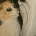 Przyjaźń Przyjaźń