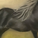 Czarny koń Czarny koń