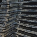 Abstract 255 Abstract 255