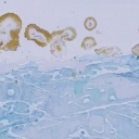 Abstrakcja ze złotem Abstrakcja ze złotem