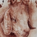 Drut Kolczasty Drut Kolczasty