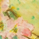 dzika róża dzika róża