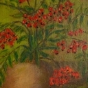 jarzębina jarzębina