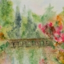 kwiatu nad biem rzeki kwiatu nad biem rzeki