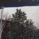 pejzaż Dzika jabłoń pejzaż Dzika jabłoń