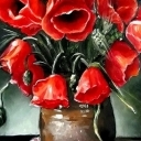 Letnie maki Letnie maki