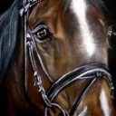 Portret konia Portret konia