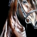 Portret konia Portret konia