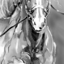 Wyłonił się z mgły Wyłonił się z mgły