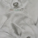 Two friends Two friends