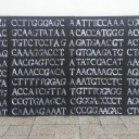 uwarunkowania genetyczne a empiryczne postrzeganie