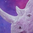 Nosorożec Nosorożec