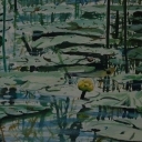 Water Lilly
