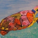 Zółw morski Zółw morski