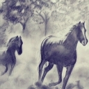 Konie w galopie Konie w galopie