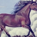 Koń w galopie Koń w galopie