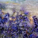 Lawendowy pejzaż Lawendowy pejzaż