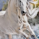 Nie zatrzymuj koni. Nie zatrzymuj koni.