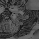 Razem cieplej Razem cieplej