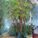 droga leśna droga leśna