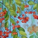 jarzębinka jarzębinka