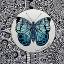 Błękitny Błękitny