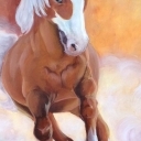 Koń w galopie Koń w galopie