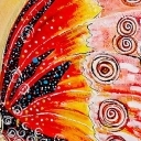 0770 -17 Motyl 0770 -17 Motyl