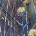 Dziesięć sił Dziesięć sił