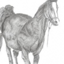 Galopujący koń Galopujący koń