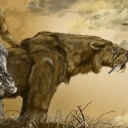 oni już tu byli oni już tu byli