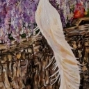 Glicynia i biały paw, Rajski ogród Glicynia i biały paw, Rajski ogród