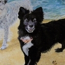 Zabawa na plaży Zabawa na plaży