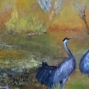 Tańczące żurawie Tańczące żurawie