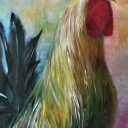 Portret koguta Portret koguta