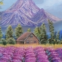 Pole Lawendy Pole Lawendy