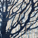 Moje drzewo Moje drzewo