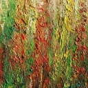 Kwitnące trawy Kwitnące trawy