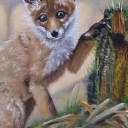 niedolisek niedolisek