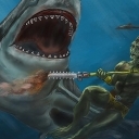 łowca rekinów łowca rekinów