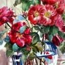 Na parapecie dzikie panienki różane Na parapecie dzikie panienki różane